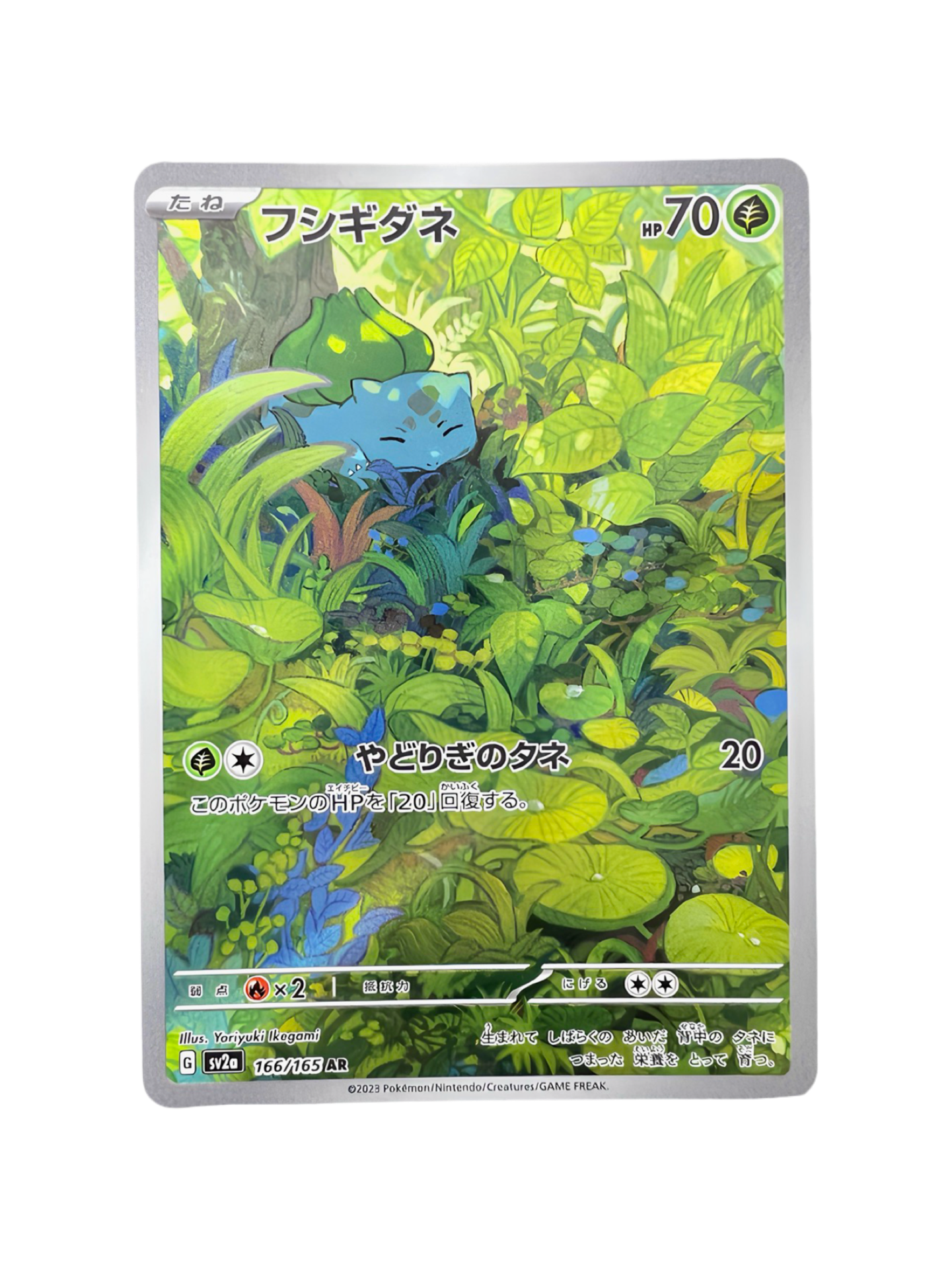 Pokémon français coffret Noël cartes Pokémon étincelle déferlante origine perdue EB11 EV8 display booster Pokémon ETB japonais SV8A 151 